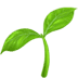 🌱