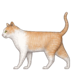 🐈