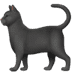 🐈⬛