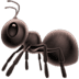 🐜