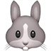 🐰