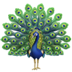 🦚